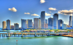 Miami pros