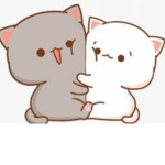 Kitty cat kitty cat cat