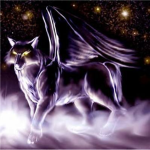NightWolveZ