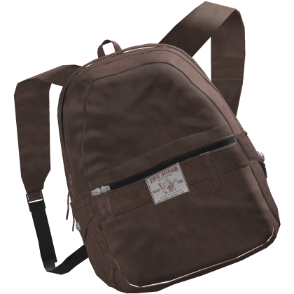 True Religion backpack 3.0