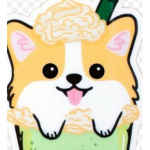 dogeincup