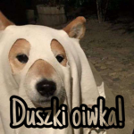 Duszki oiwka!