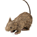 Plague rat industry