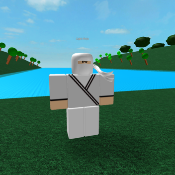 Ninja Land:  World At Its Deadliest