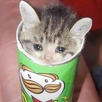 [ VC/VR ] A Winter Day (My First Game.)