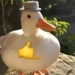 patos .____.