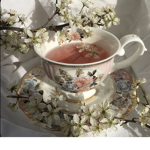teacups<3