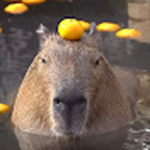 capybara man YT club