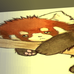 The Red Panda Meet Up!