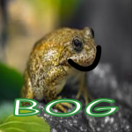bog is bog