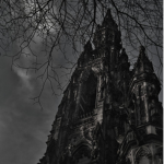 Vampires and Wolves Academy