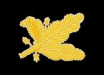 [USNAVY] Naval Supply Systems Command