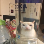 Mark not me 2.0