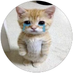 Donate if u like kittens