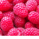The Rasberries