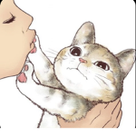 Cats R awesome