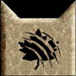 ¥ Oak Clan ¥