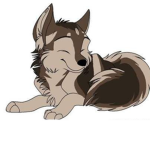 Wavyy Wolvesss