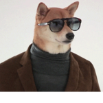 SEÑOR DOGE