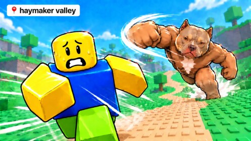 Haymaker Valley