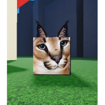 Free Admin! [FLOPPA]