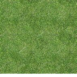 GRASS ROOM (FREE BOOMBOX)