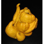 Reality is lemons.
