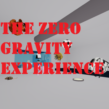 THE ZERO GRAVITY EXPERIENCE
