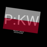 Project: Koleje Wielkopolskie