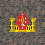 |-24th MEU-| 2nd Combat Engineer Battalion