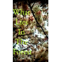 What lies In the Forest