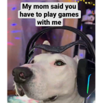 Pets da best!