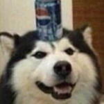 Toxicity Gang
