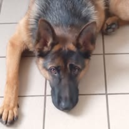 alarm testing