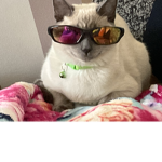 ~ZoZos~