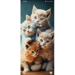 Cat Clan: ThunderClan