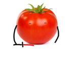 Tomato Sword YT group