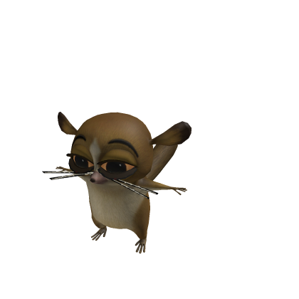 MORT (madagascar)