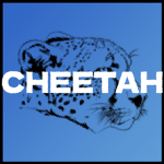NLCheetah Games