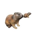 Marmot Friends