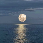 moonlight;