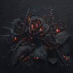 Darkened roses