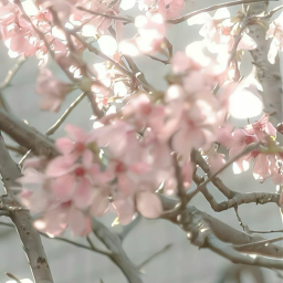 ♡