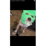 Litte_G151