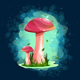 Mushroom Forest