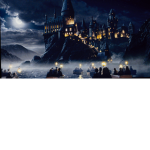 ~Hogwarts Army~