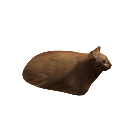 Chonker Cat