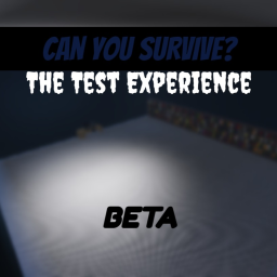 The Test Experience(BETA)