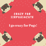 Crazy For SirPugsACute