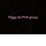 #Piggy ALPHA group